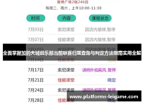 全面掌握加的夫城俱乐部当前联赛归属查询与判定方法指南实用全解 全面掌握加的夫城俱乐部当前联赛归属查询与判定方法指南实用全解