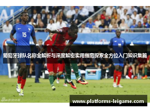 葡萄牙球队名称全解析与深度解密实用指南探索全方位入门知识集篇 葡萄牙球队名称全解析与深度解密实用指南探索全方位入门知识集篇