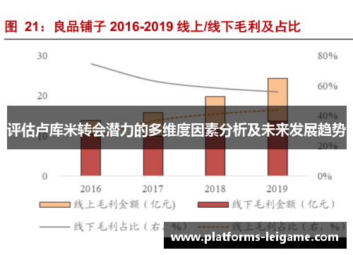评估卢库米转会潜力的多维度因素分析及未来发展趋势 评估卢库米转会潜力的多维度因素分析及未来发展趋势