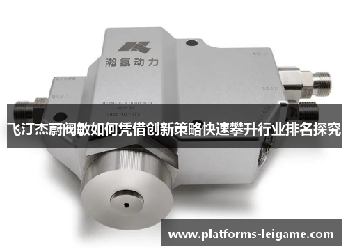 飞汀杰蔚阀敏如何凭借创新策略快速攀升行业排名探究 飞汀杰蔚阀敏如何凭借创新策略快速攀升行业排名探究